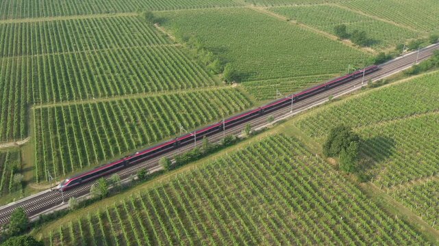A high-speed Italian train dashes across vibrant green vineyards, cutting through scenic countryside landscapes. Captured from a stunning aerial perspective.