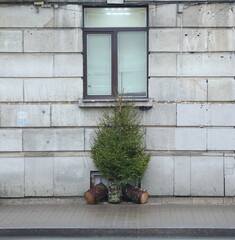 An artificial Christmas tree stands on the sidewalk in front of a residential building