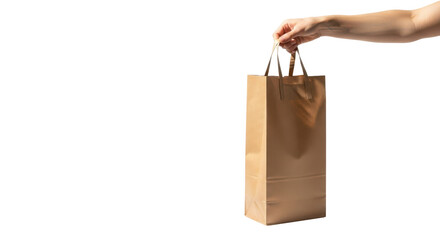 Hand holding a brown paper shopping bag isolated on transparent background