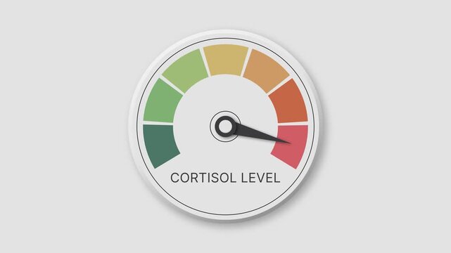 Animated cortisol level indicator with circular gauge on medical dashboard. Ideal for stress monitoring, hormone balance visuals, mental health education, wellness tracking