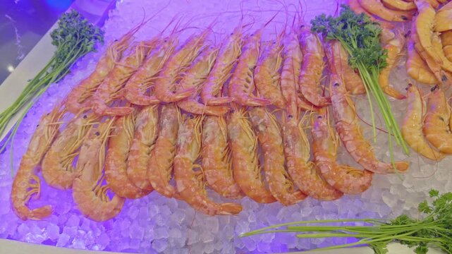 High-angle view of fresh langoustines arranged on crushed ice with parsley. Seafood platter display at a French restaurant buffet with mood lighting. Ideal for gastronomy and catering concepts