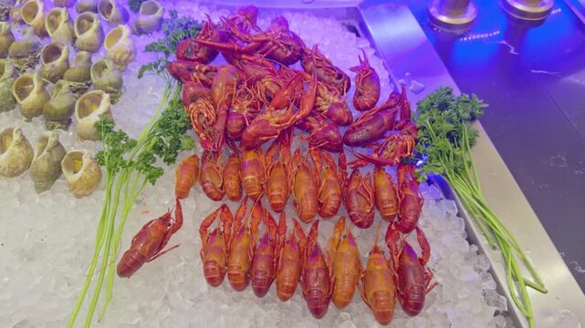 High-angle view of cooked red crayfish and whelks arranged on crushed ice. Fresh seafood platter display with parsley at a French restaurant. Ideal for gastronomy and catering concepts