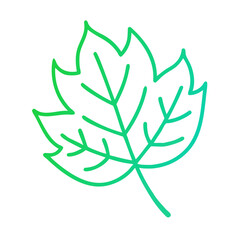 Obraz premium Green leaf iсon with detailed veins on transparent background 