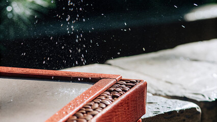 Winter Rain Close-Up with Coffee and Spices Frame, Dim Ambient Light