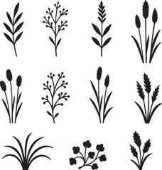 Wild Roadside Weed Decor Pack Natural Grass Silhouette Bundle Line Art.eps