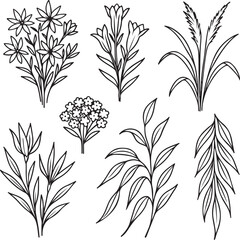 Naklejka premium Wild Alpine Overflow Bouquet Array Organic Botanical Silhouette Line Art.eps