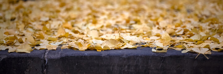 Fall autumn leaves on stone steps for use as a background texture