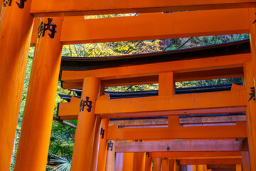 Kyoto in Japan © Stephan Sühling