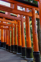Fototapeta premium Herbst in Kyoto