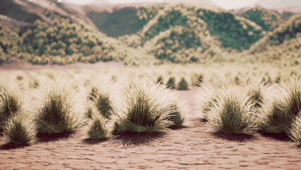 Golden grasses flourish in an arid landscape, gently swaying in the breeze. Mountains loom in the background, casting shadows as the sun begins to set over this serene scene.