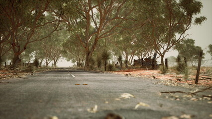 A quiet, deserted roadway winds through a countryside filled with tall trees and soft dust.