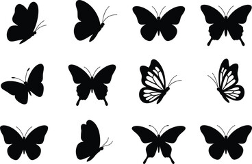 Collection of Twelve Butterfly Silhouettes in Various Poses and Styles insect flying © MDBENJIR