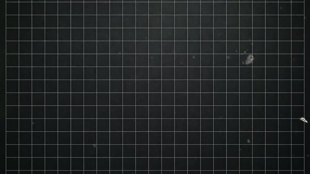 Old film effect with grid and dust particles overlay