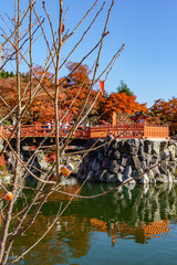 Fototapete bei efototapeten.de bestellen   