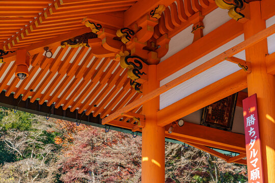 Osaka und der Minoh Park in Japan