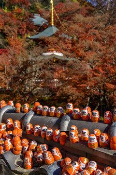 Osaka und der Minoh Park in Japan