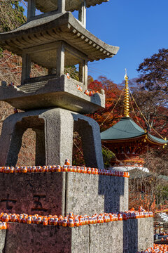 Osaka und der Minoh Park in Japan