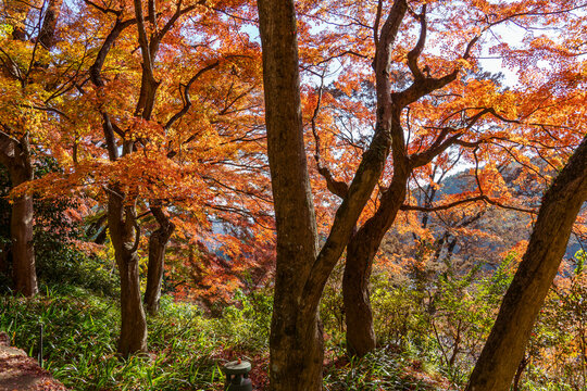 Tempelanlagen in der N&auml;he von Kyoto