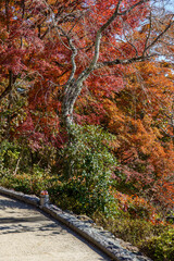 Herbstzeit in er N&auml;he von Kyoto
