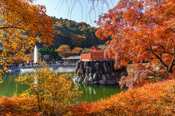 Herbstzeit in er Nähe von Kyoto