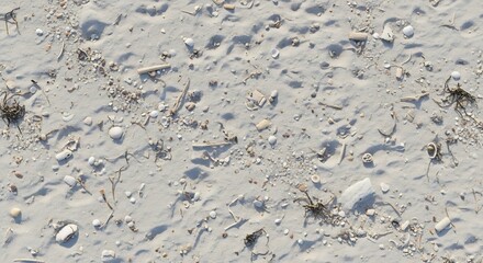 Sandy beach texture with scattered seashells, pebbles, and dried seaplant, showing natural patterns and details.