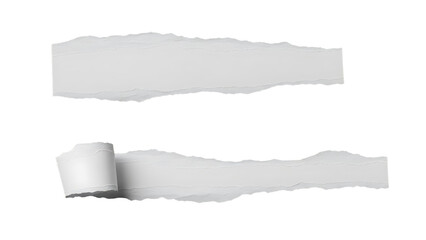 Torn and ripped paper background with empty space and grunge texture