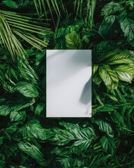 Green leaves frame a blank white rectangle