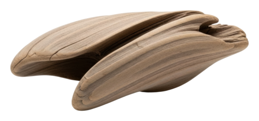 Artistic wooden sculpture gallery space contemporary minimalist isolated on transparent background