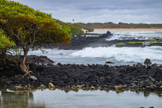 waterfront on Santa Cruz Island - Galapagos Islands