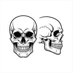 Detailed skull illustrations depicting gothic horror and tattoo art design