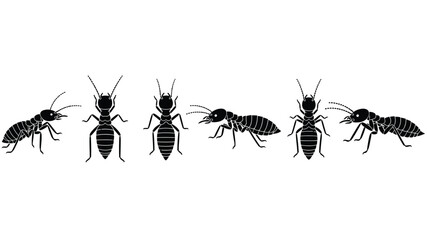 A row of black silhouette ants illustrates insect life and social behavior © Nasima Bibi