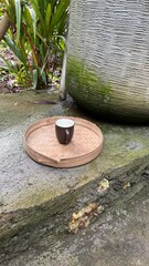 Ceramic Coffee Cup on Bamboo Tray in Tropical Garden Setting
