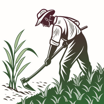 Man in hat using hoe to weed green plants gardening
