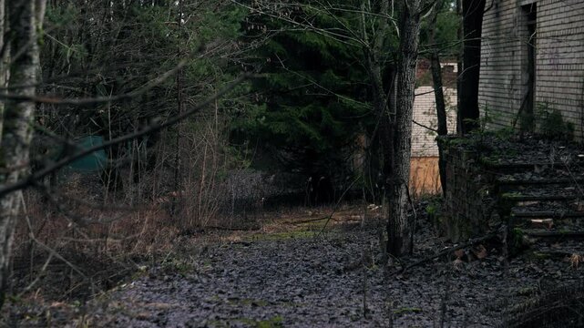 Narrow Gravel Trail Toward Vacant Brick Outbuilding Framed By Pine And Birch, Mossy Banks And Stacked Stone Ruins Dim Light And Deep Shadows Form Moody Cinematic Backdrop For Aerial