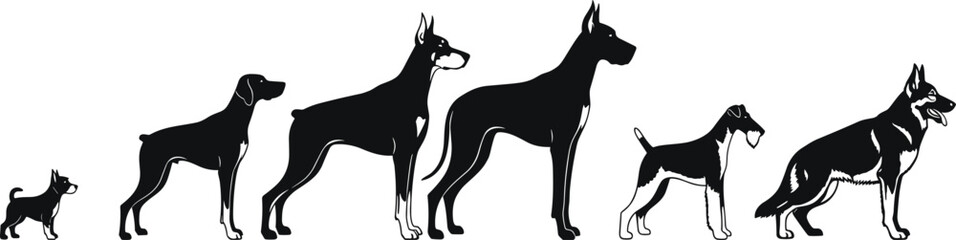 Obraz premium Dog breed size comparison silhouettes showing small to large canine profiles in minimalist black vector illustration on white background