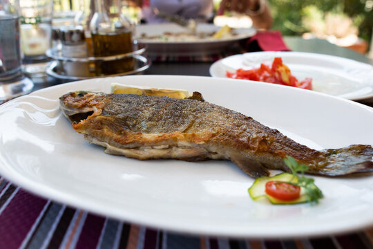 piatto bianco con trota di fiume e fresca, cucinata al forno