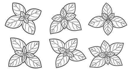 A collection of decorative line art leaves arranged in a symmetrical pattern in an outline vector style, suitable for nature-themed designs