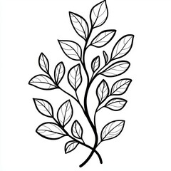 Outlined leaves on a white background offer a natural and elegant vibe.