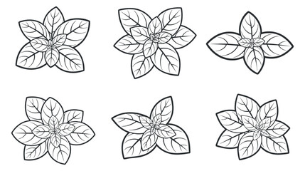 A collection of six floral illustrations featuring leaves and petals in black and white outline vector style, suitable for nature-themed design projects