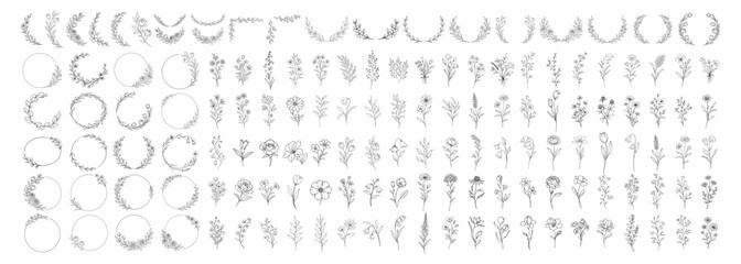Botanical floral elements collection, hand drawn flowers branches wreaths and frames, elegant vintage line art vector set for wedding invitation and design on transparent background © Pavlo