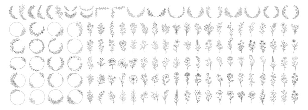 Botanical floral elements collection, hand drawn flowers branches wreaths and frames, elegant vintage line art vector set for wedding invitation and design on transparent background