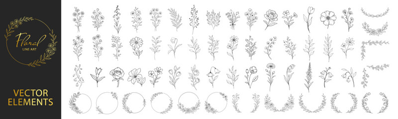 Hand drawn floral elements collection, botanical flowers leaves wreaths and circular frames, elegant vintage line art decorative set for wedding and invitation design on transparent background © Pavlo