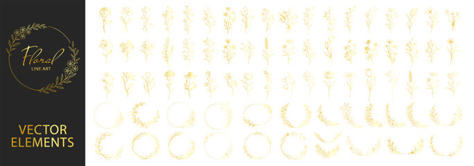 Golden floral wreaths and botanical elements set, elegant flower branches and frames, decorative line art collection vector illustration on transparent background © Pavlo