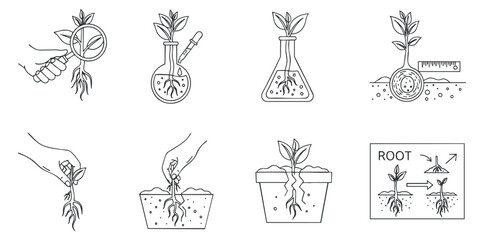 A collection of plant growth illustrations including roots, seedlings, and laboratory equipment in minimalist outline vector style, ideal for educational and scientific projects