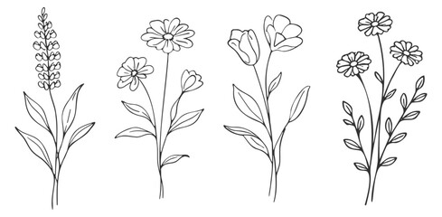 Hand drawn floral flower set, botanical line vector illustration with rose and wildflowers, elegant minimalist outline design for wedding decoration on transparent background