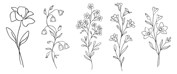 Floral botanical flower set, elegant hand drawn outline vector illustration, minimal line art wildflowers and rose collection on transparent background © Pavlo
