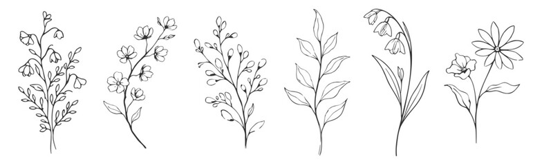 Floral botanical flower set, elegant hand drawn outline vector illustration, minimal line art wildflowers and rose collection on transparent background © Pavlo
