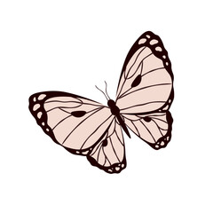Black and white butterfly. Vector icon on white background