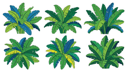 A collection of vibrant tropical banana leaf plants in various shades © ShapeCraft