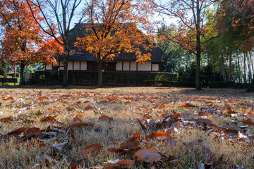 落ち葉と古民家